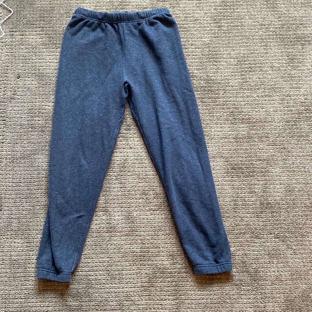 Aritzia TNA dark grey sweatpants
